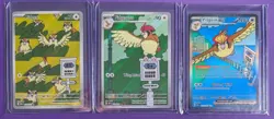 Pokemon TCG Obsidian Flames Pidgeot EX Sir 225/197, Pidgeotto 208, Pidgey 207 NM - Image 1