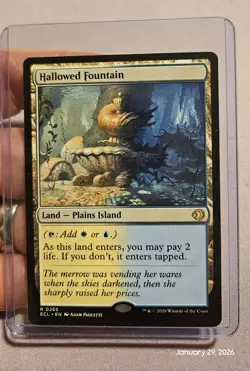 🔥 MTG - Hallowed Fountain - Lorwyn Eclipsed ECL Regular Rare #265 NM 🔥 - Image 1