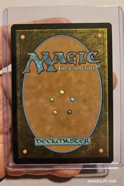 🔥 MTG - Hallowed Fountain - Lorwyn Eclipsed ECL Regular Rare #265 NM 🔥 - Image 2