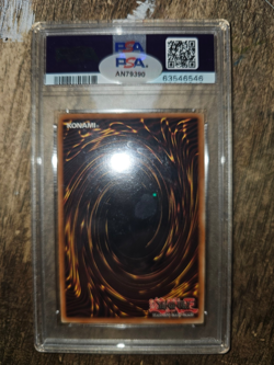 Yu-Gi-Oh! MFC Magician's Force 1st Ed #000 Dark Magician Girl PSA 8 Signed by VA - Image 2