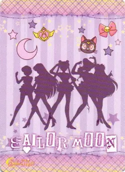 SAILOR VENUS R R-024 Sailor Moon Cosmos Collection Anime Collectible Card - Image 2
