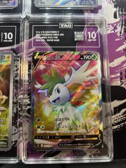 Pokemon TCG TAG Gem Mint 10 Graded Slab Lot - Tyranitar Blastoise Pawmot Shaymin - Image 5