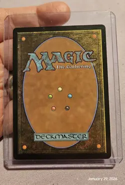 🔥 MTG - Overgrown Tomb - Lorwyn Eclipsed ECL Regular RARE #266 NM 🔥 - Image 2