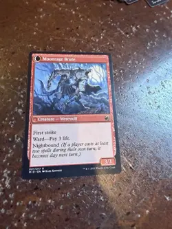 1x Brutal Cathar // Moonrage Brute NM-Mint, English Innistrad: Midnight Hunt MTG - Image 1