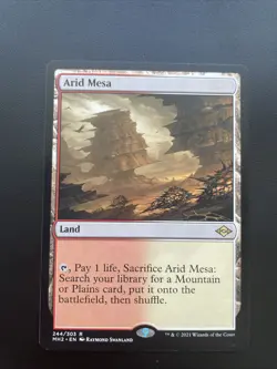 Arid Mesa Modern Horizons 2 Regular - Image 1