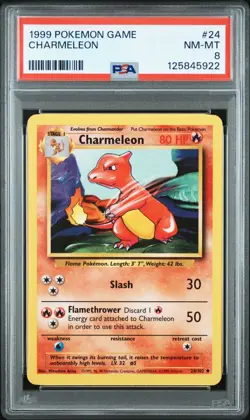 1999 Pokemon Base Set Unlimited Charmeleon 24/102 PSA 8 - Image 1