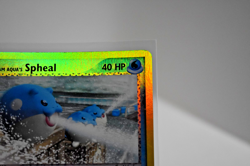 Pokemon TCG Team Aqua's Spheal 56/95 Team Magma vs Team Aqua - Reverse Holo NM - Image 4