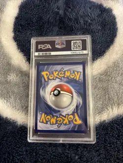 Phanpy Illustration Rare #205/191 Pokemon 2024 Surging Sparks PSA 9 MINT - Image 2