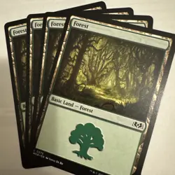 x4 Forest (0275) L MTG Wilds of Eldraine M/NM, English | WOE - Image 1