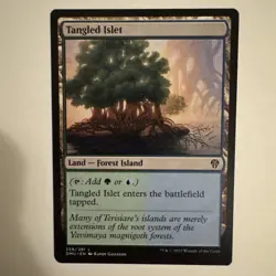 MTG Magic the Gathering Tangled Islet (258/552) Dominaria United NM - Image 1