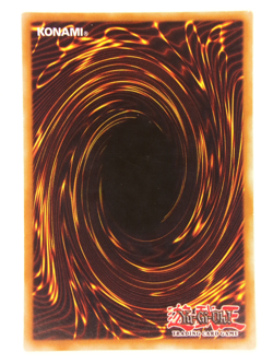 Yugioh! LP Divine Wrath - DT04-EN050 - Common - Duel Terminal (Lightly Played) - Image 2