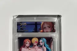 Nami And Robin Hooters Girl Custom Illustration Custom Slab One Piece Girls - Image 2
