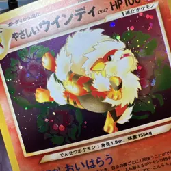 Light Arcanine No.059 Holo Neo Destiny Japanese Old Back Vintage Pocket Monster - Image 5