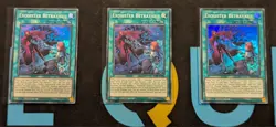 BPRO-EN066 Exosister Betrayal x3 Super Rare 1st Edition YuGiOh Playset - Image 1