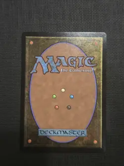 MTG The Earth King (Borderless Foil) Avatar: The Last Airbender 344 NM - Image 2