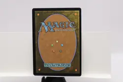 Leaf-Crowned Visionary (Extended Art) Dominaria United Foil - Image 2