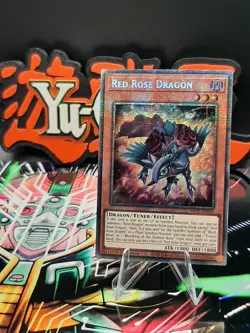 Yu-Gi-Oh! Red Rose Dragon MP25-EN037 Starlight Rare 1st Ed NM - Image 1