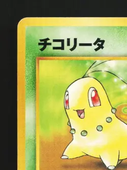 Chikorita No.152 HP Neo Premium File 1 Japanese Pokemon Card TCG - Image 4