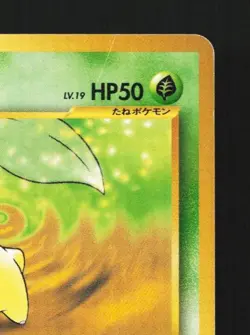 Chikorita No.152 HP Neo Premium File 1 Japanese Pokemon Card TCG - Image 5