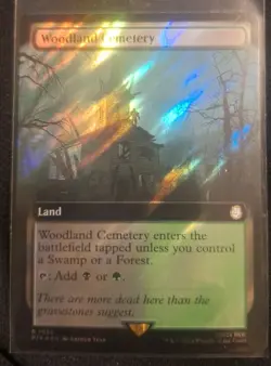 Woodland Cemetery (Extended Art) (Surge Foil) Universes Beyond: Fallout Foil - Image 1