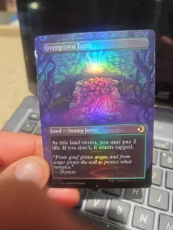 Overgrown Tomb (Borderless) Lorwyn Eclipsed Foil - Image 1
