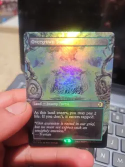Overgrown Tomb (Borderless) Lorwyn Eclipsed Foil - Image 2