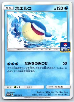 Torracat - Sun & Moon GYM Promo 230/SM-P Pokemon Card NM - Image 1