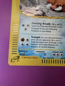 Piloswine H22/H32 Skyridge Holo Rare Pokemon Card 2003 w/ SWIRL🌀Light/Mod Play - Image 5