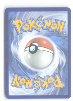 Pokemon TCG Team Rockets Houndoom 191/182 Illustration Rare Destined Rivals NM - Image 2