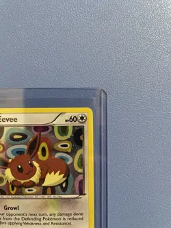 Eevee BW94 Black & White Promo Holo Pokemon Card - Lightly Played - Image 3