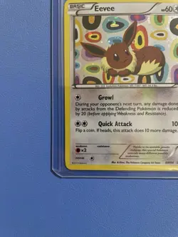 Eevee BW94 Black & White Promo Holo Pokemon Card - Lightly Played - Image 5