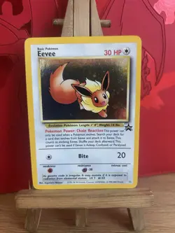 Pokemon - Eevee Black Star Promo 11 Holo - Rare - 1999-2000 WoTC-NM/MT - Image 1