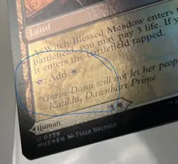 Magic MTG Witch Enchanter Witch-Blessed Meadow *Foil* Modern Horizons 3 #239 - Image 3