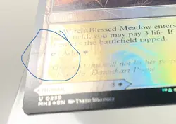 Magic MTG Witch Enchanter Witch-Blessed Meadow *Foil* Modern Horizons 3 #239 - Image 4