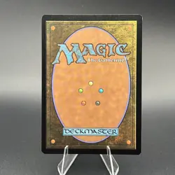 Spider-Punk (0207) (Borderless) Marvel's Spider-Man Foil NM MTG - Image 2