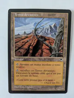 French Wasteland Tempest MTG NM Free shipping with tracking - Image 1