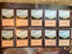 10x German Fbb • Plains • NM • Basic Land • Mtg - Image 2