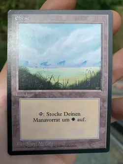 10x German Fbb • Plains • NM • Basic Land • Mtg - Image 4