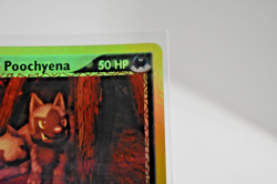 Pokemon TCG -Team Magma's Poochyena 66/95 Team Magma vs Team Aqua Reverse Holo - Image 2