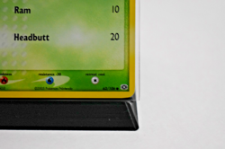 Pokemon TCG - Shroomish 63/106 Emerald Reverse Holo - NM - Image 3