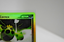 Pokemon TCG - Team Aqua's Cacnea 24/95 Team Magma vs Team Aqua Reverse Holo - NM - Image 2