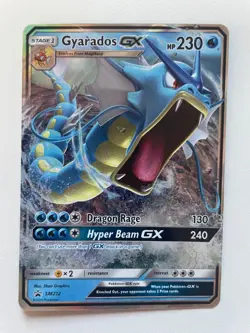 Pokemon TCG: 2019 Hidden Fates Tin Black Star Promo Gyarados GX (SM212) - Image 1