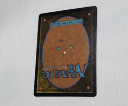 MTG - Hushwood Verge - Borderless Non-foil - Duskmourn: House of Horror - Image 2