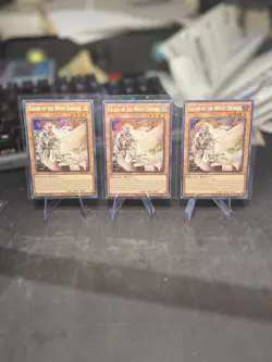 Yugioh Fallen Of The White Dragon BRPO-EN024 Secret Rare Near Mint - Image 1