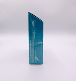 Lorwyn Eclipsed Collector Booster Display Englisch Magic The Gathering Sealed - Image 3