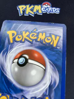 Pokemon TCG Raikou HGSS19 Black Star Promo Holo HP. - Image 3