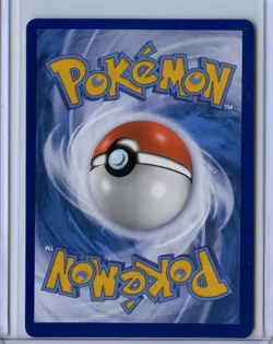 Pokemon Crown Zenith Radiant Charizard 020/159 Ultra Rare Holo NM - Image 2