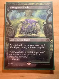 Overgrown Tomb (Borderless) Lorwyn Eclipsed Regular - Shock LAnd - Image 1