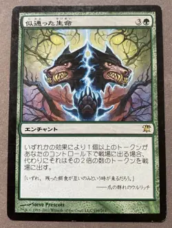 MTG - Parallel Lives Japanese ISD Innistrad - MP - Image 1
