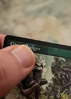 1x Magic the Gathering MTG Giant Badger Media Book Promo Excellent - Image 3